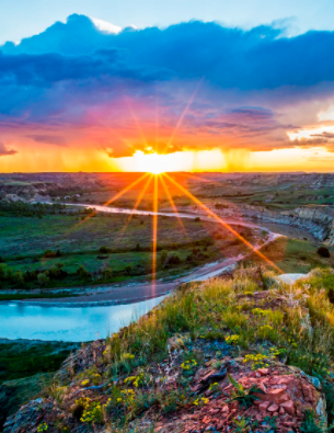 picture of Nature